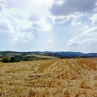 Land plot in Greece