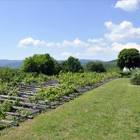 Villa in Greece, 240 sq.m.