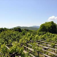 Villa in Greece, 240 sq.m.