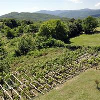 Villa in Greece, 240 sq.m.