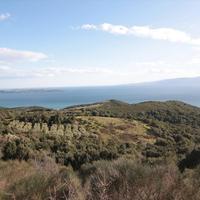 Земельный участок в Греции, 8000 кв.м.