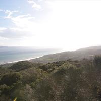 Земельный участок в Греции, 8000 кв.м.