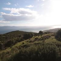 Земельный участок в Греции, 8000 кв.м.