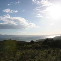 Земельный участок в Греции, 8000 кв.м.