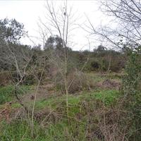 Земельный участок в Греции, 4164 кв.м.