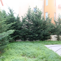 Other in Greece, 180 sq.m.