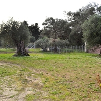 Другое в Греции, 125 кв.м.