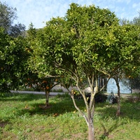 Другое в Греции, 125 кв.м.