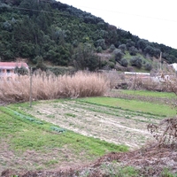 Land plot in Greece