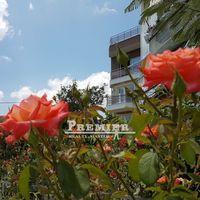 Квартира в Болгарии, Варненская область, 48 кв.м.