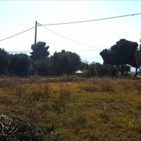 Land plot in Greece, 490 sq.m.