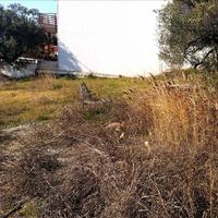 Land plot in Greece, 490 sq.m.