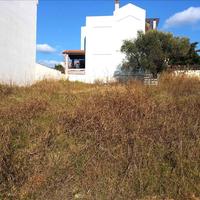 Land plot in Greece, 490 sq.m.
