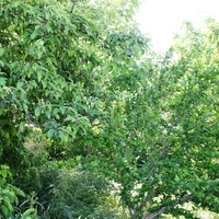 Villa in Greece, 400 sq.m.