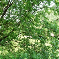 Villa in Greece, 400 sq.m.