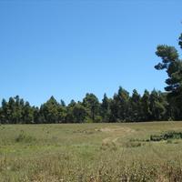 Земельный участок в Греции