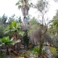 Other in Greece, 199 sq.m.