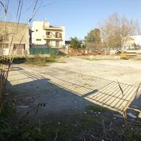 Land plot in Greece, 1100 sq.m.
