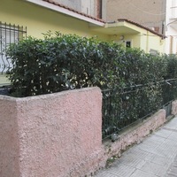 Other in Greece, 50 sq.m.