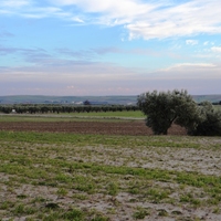 Земельный участок в Греции