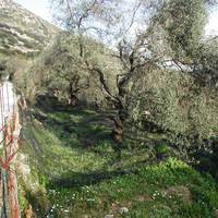 Земельный участок в Греции