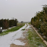 Villa in Greece, 350 sq.m.