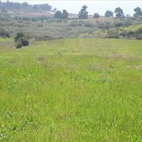 Land plot in Greece