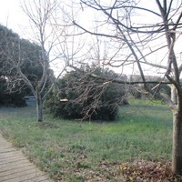 Земельный участок в Греции