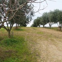 Land plot in Greece