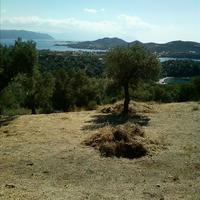 Земельный участок в Греции