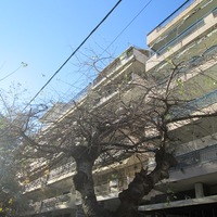 Flat in Greece, 69 sq.m.