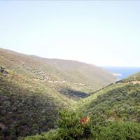 Land plot in Greece, 250000 sq.m.