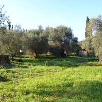 Land plot in Greece