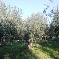 Земельный участок в Греции, 200 кв.м.