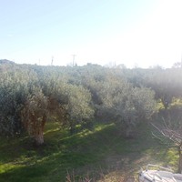 Земельный участок в Греции, 200 кв.м.