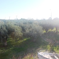 Земельный участок в Греции, 200 кв.м.