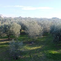 Земельный участок в Греции, 200 кв.м.