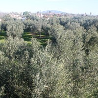 Земельный участок в Греции, 200 кв.м.