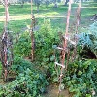 Земельный участок в Греции, 200 кв.м.