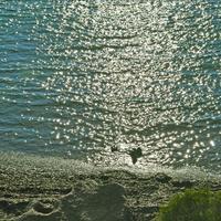 Земельный участок в Греции