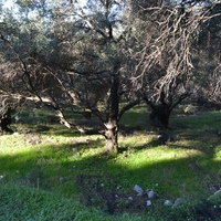 Земельный участок в Греции