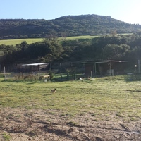 Other in Greece, 90 sq.m.