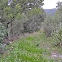 Land plot in Greece