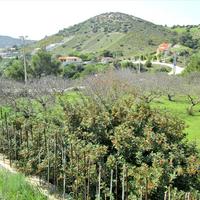 Other in Greece, 360 sq.m.