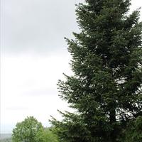 Other in Greece, 205 sq.m.