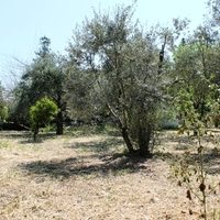 Other in Greece, 99 sq.m.