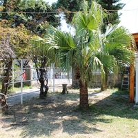 Other in Greece, 99 sq.m.