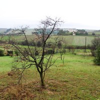 Другое в Греции, 600 кв.м.