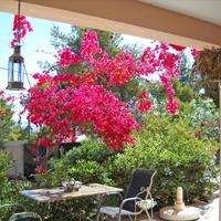 Other in Greece, 220 sq.m.