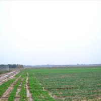 Земельный участок в Греции